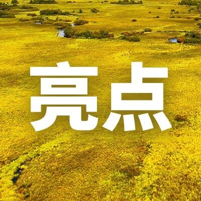 “微改造”里藏着“大温暖” 重庆福彩销售站焕新记