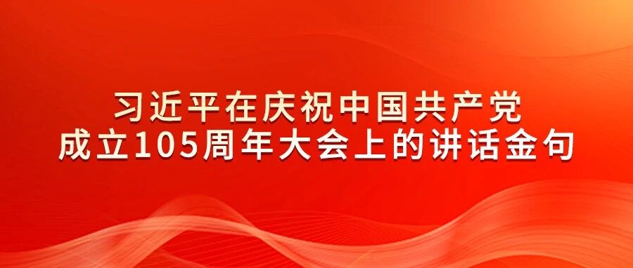 习近平在庆祝中国共产党成立105周年大会上的讲话，学金句，悟深意！