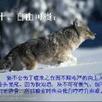 中奖很幸福